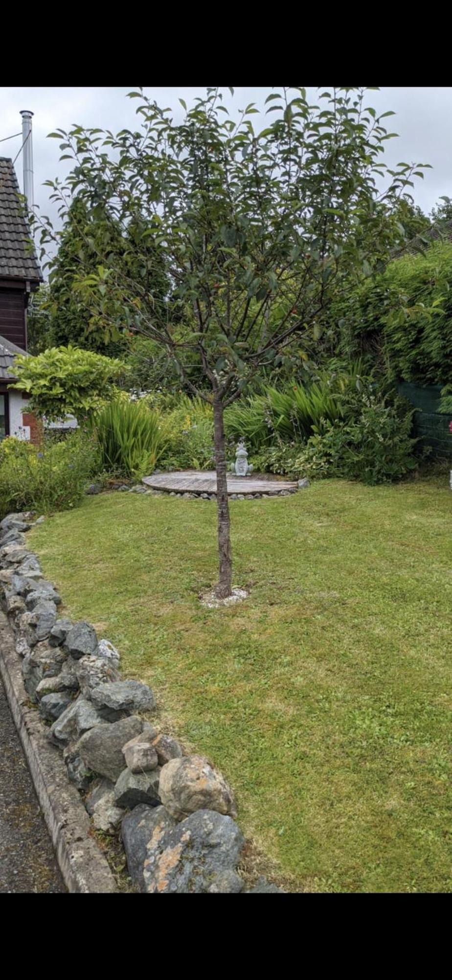 Contemporary Highland House Close To Town And Ben Nevis فورت ويليام المظهر الخارجي الصورة